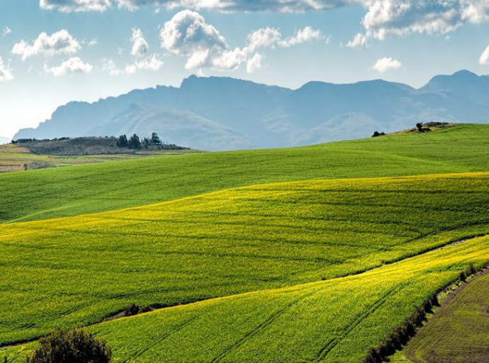 East London attorney wins back ownership of farm after protracted court battle