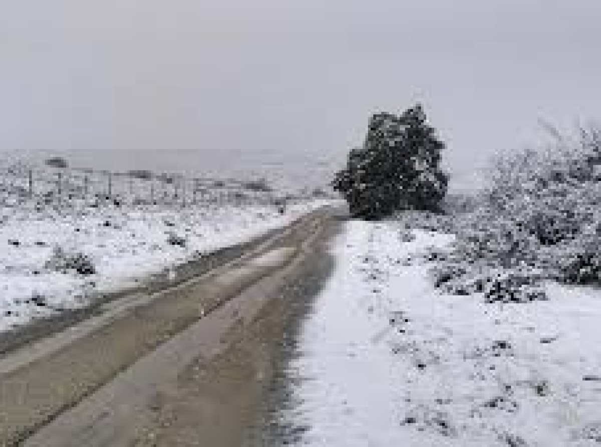 Photo by: SABC News