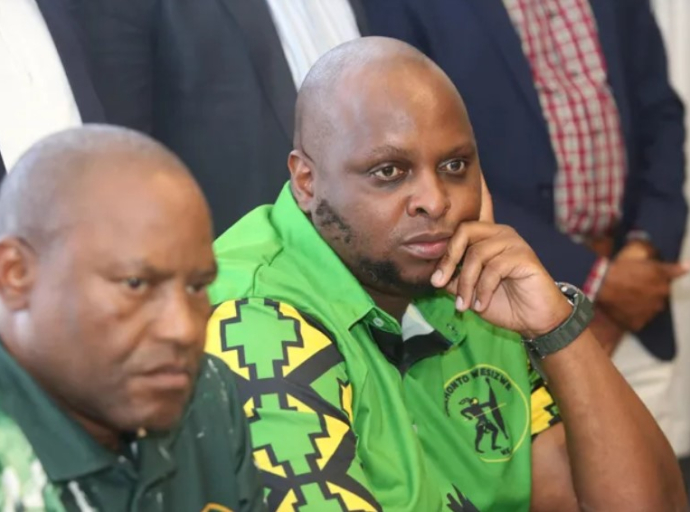 uMkhonto WeSizwe Party announces new MPs, excludes Floyd Shivambu