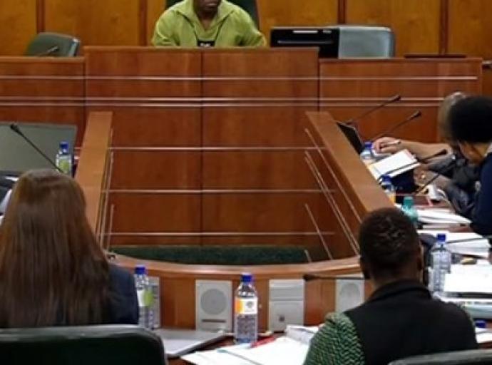 Justice on Trial: Parliament Probes SAPS Interference Allegations