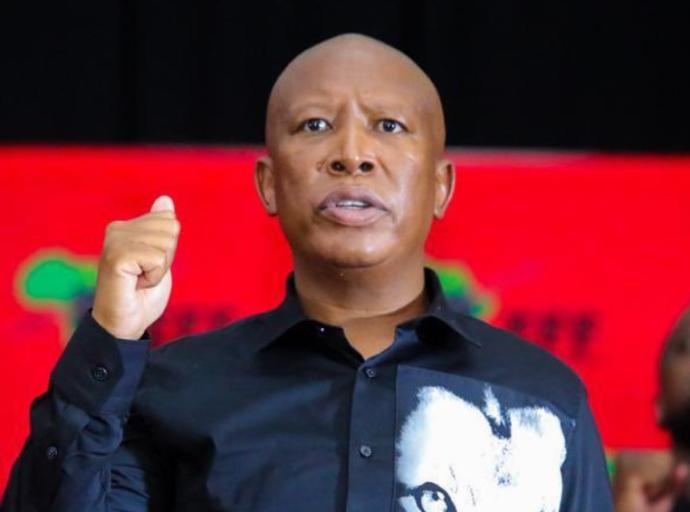 Malema to miss ad hoc committee as court date looms over firearm conviction