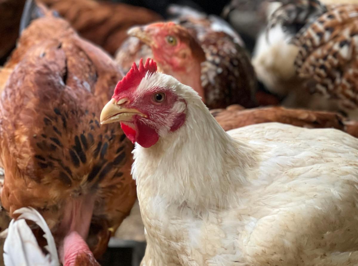 Photo by: Pexels.com 