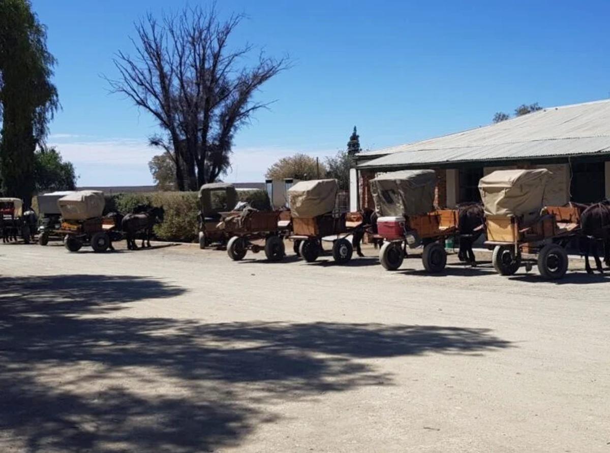 Name Your Price - NC Town for Sale  